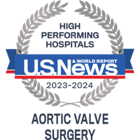Aortic Valve High Performing
